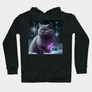 Playful British Shorthair Kitten In Snow Hoodie